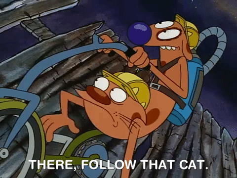 nicksplat GIF