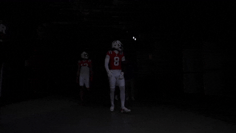 Stefon Diggs Football GIF by New England Patriots