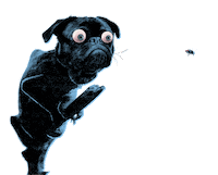 Dog Hund Sticker by Four Music