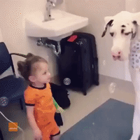 ‘He Likes the Bubbles!’ – Great Dane Plays With Little Girl in Hospital
