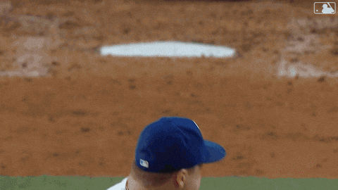 Blue Jays Baseball GIF by Toronto Blue Jays