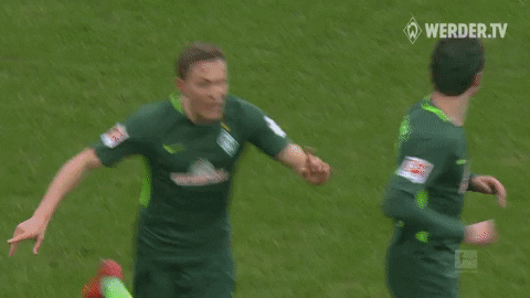 werder bremen bundesliga GIF