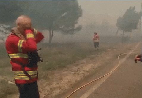 henriqueclaudino1 giphyupload GIF