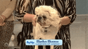 Marilyn Monroe Hair GIF by Saturday Night Live