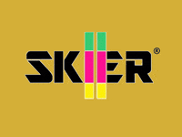 SKIER holiday snow winter ski GIF