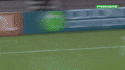 Serie A Bora GIF by Canal Premiere