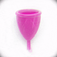berrycup berrycup GIF