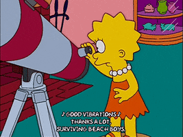 Angry Lisa Simpson GIF by The Simpsons