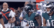 Philadelphia Eagles Football GIF by NFL