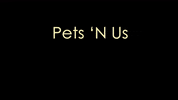 petsnusofficial pet pets store petshop GIF