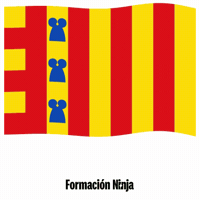 Flag Spain GIF by Formación Ninja