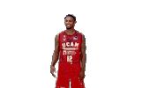 Liga Endesa Basketball Sticker by ACB