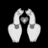 labitcoineta bitcoin llama llamas bitcoineta GIF