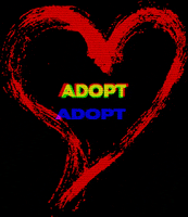 Heart Acrr GIF by ACReptileRescue