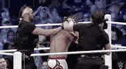 GIF by WWE