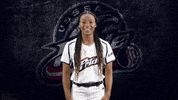 Florida Softball GIF by USSSA Pride