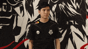 League Of Legends Lol GIF by G2 Esports
