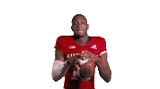 Washington Football Team Sticker by Rutgers Football