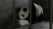 mama GIF by Neon Panda MX