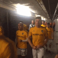 gr8ness GIF by LA Galaxy