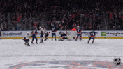 Happy Washington Capitals GIF by NHL
