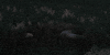 under the skin GIF by A24