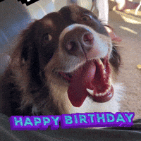 Happy Birthday Love GIF by Yevbel
