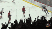 Excited National Hockey League GIF by San Diego Gulls