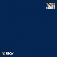 Super Smash Bros Esports GIF by WVU Tech Golden Bears