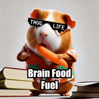Education Studygram GIF by Guinea Gambino