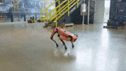 Spot Backflip Boston Dynamics GIF by BostonDynamics