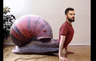 Virat Kohli Ipl GIF