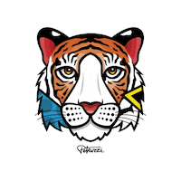 Cat Color Sticker by Ronson Chile