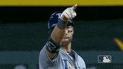 Regular Season Sport GIF by MLB