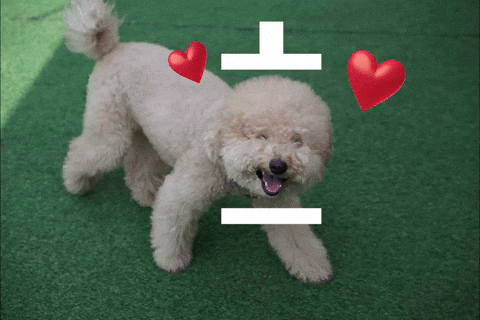 나무 GIF