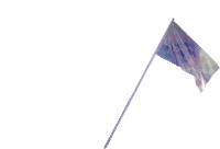 racing flag Sticker by arisecreative