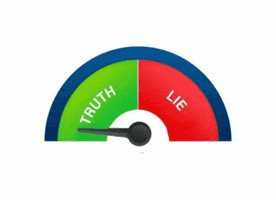 Truth Or Lie GIF
