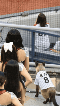 Catch Catch GIF