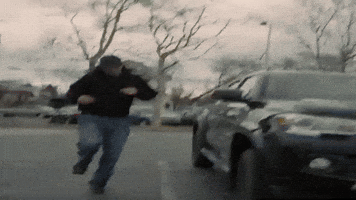 GIF by Partisan Records
