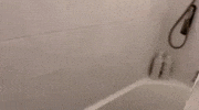 Lets Play Cats GIF
