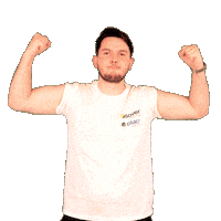 Celebration Top Sticker by Isover et Placo® France