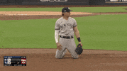 Staring New York Yankees GIF by Jomboy Media