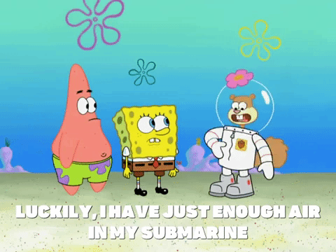 season 8 bubble troubles GIF by SpongeBob SquarePants