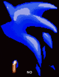 Sonic The Hedgehog No GIF