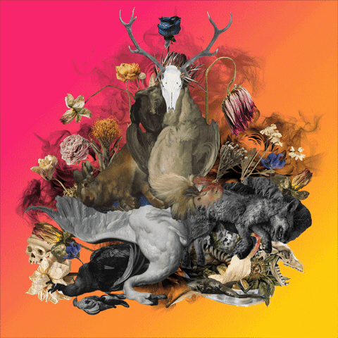Art Smoke GIF by Paint the World
