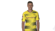 happy world cup Sticker by Bundesliga