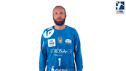 Handball-Bundesliga Handball GIF by LIQUI MOLY HBL