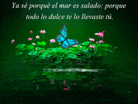 amor GIF
