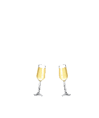 cincinuae cheers cin cin raise the bar cincinservices Sticker