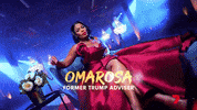 GIF by Smallzy